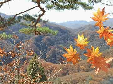 青海5吨手拉葫芦配件,青海5吨手拉葫芦配件厂家